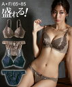 ブラジャー ショーツ セット レディース シャイニーシフォン×ケミカル レース ネイビー/ブラウン E70_M~F85_LL ニッセン nissen