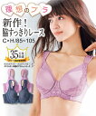 ブラジャー ワイヤー入り 大きいサイズ レディース 理想のリフト デザイン レース 空気が通る モールドカップ+ホック付 ネイビー/ラベンダー C85~D95 ニッセン nissen