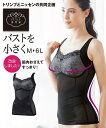 補正下着 大きいサイズ レディース バストを小さく見せてすっきり 細見えスタイルをサポートする ボディシェイパー ( トリンプ ) 黒×ラベンダー 3LR/4LR ニッセン nissen