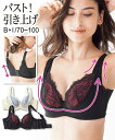 ブラジャー ワイヤー入り レディース グッと寄せて引き上げる ダブルストラップ 脇ラク 背中すっきり アイボリー×ブルー/黒×ピンク B70~D95 ニッセン nissen