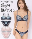 ブラジャー ショーツ セット レディース 脇高 シアーブロッサム刺しゅう ネイビー/ピンク E70_M~F80_L ニッセン nissen