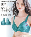 ブラジャー ワイヤー入り 大きいサイズ レディース 薄手で丸みがきれい フルカップ ( トリンプ ) ターコイズ E85~F100 ニッセン nissen