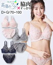 ブラジャー ショーツ セット レディース フルカップ 脇スッキリタイプ ネイビー/メタリックグレー E70_M~F80_L ニッセン nissen