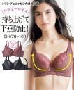 ブラジャー グラマーバストの下垂を防止するリフトアップブラジャー(大花編レース)(トリンプ) ニッセン nissen