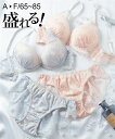 ブラジャー ショーツ セット レディース エレガントフラワー 総レース デザイン ピンク/ブルーグレー E70_M~F85_LL ニッセン nissen