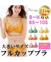 ☆ 【 送料無料クーポン × ポイント5倍 】ブラジャー カラフルパレットフルカップブラジャー ニッセン nissen