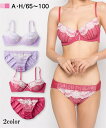 ブラジャー&ショーツセット 大きいサイズ シンプルレディブラジャー・ショーツセット(E85/LL-F100/5L) セクシー デート用 プチプラ デコルテ セクシー ニッセン nissen バーゲン