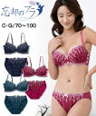 【20日限定全品ポイント5倍以上】 ブラジャー&ショーツセット (E90/LL-3L-F100/5L-6L) 大きいサイズ 忘却の ブラジャー ショーツ セット クラシカル(脇スッキリタイプ) ニッセン