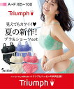 【8/20正午までポイント5倍&送料無料クーポン有】 ブラジャー&ショーツセット トリンプ 総レースブラジャー・ショーツセット【A B C D】アンダー65~80 ブラショー ニッセン nissen