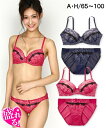 【20日限定全品ポイント5倍以上】 ブラジャー&ショーツセット (G85/LL-H100/5L) 大きいサイズ レースライン ブラジャー ・ ショーツ セット ニッセン ブラショーツ 上下セット 盛り