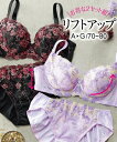【1日限定 ポイント10倍以上】 【お買い得クーポン×ポイン...