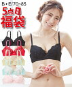 【期間限定 全品ポイント10倍×まとめ買いラッキークーポン】 【送料無料】ブラジャー (E70-E85) お買い得 デザインおまかせ ブラジャー 5点入り 福袋 ニッセン nissen ブラ 下着 レディース まとめ買い