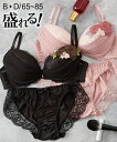 【期間限定 P5倍&クーポン】 ブラジャーショーツセット (B65/M-D85/LL) シフォン ギャザーポイントレース ブラジャー ショーツ セット ニッセン nissen ブラセット ブラショーツ ブラ