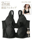 ブラジャー (I85-I100) 大きいサイズ 綿混 アンダーメッシュ で むれにくい フルカップ ブラジャー 2枚組 ニッセン 女性 下着 レディース 2枚 セット フルカップブラ