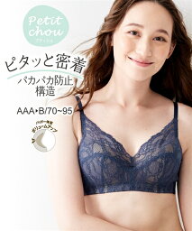 ブラジャー (AAA70-A85) プチ胸サイズ ズレない密着 ノンワイヤーブラジャー (プティシュ) ニッセン 女性 下着 レディース 脇高 盛り 小胸 谷間 セクシー