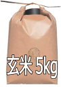 【送料込】【西日本】28年産島根県仁多郡産コシヒカリ「出雲國仁多米」【玄米5kg】】