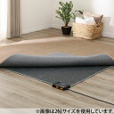 ホットカーペット(H NT 1J) ニトリ 【玄関先迄納品】...