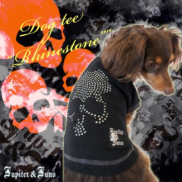 △Jupiter&Juno(ジュピターアンドジュノ)Line Stone(ラインストーン)D-9002EJupiter&Juno Dog Wear