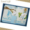 PT-0110/丸眞/【PETER RABBIT/ピーターラビット】タオルギフトセット(ウォッシュタオル2枚組)/子供/組み合わせ/洗面所/キャラクター/コットン/綿/手拭/汗/外出/ギフト/プレゼント【帰省ギフト】【セール☆4】