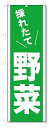 のぼり のぼり旗 採れたて 野菜(W600×H1800)