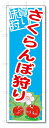 のぼり のぼり旗 さくらんぼ狩り (W600×H1800) 果物 サクランボ