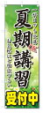 のぼり旗 夏期講習 受付中 (W600×H1800)学習塾