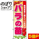 『バラの苗』 のぼり/のぼり旗 60cm×180cm 【薔薇の苗】