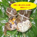 【本場中国産】上海蟹 メス 母 (小10匹満足セット)70前...