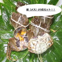 【本場中国産】上海蟹 メス 母 特売! 小5匹セット @70...