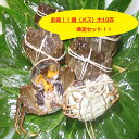 【本場中国産】上海蟹 メス 母 (大10匹満足セット!)11...