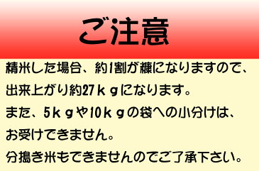 【！28年産新米入荷！】【送料無料】自家精米の夢つくし玄米　30kg【福岡県産】【九州産】【ゆめつくし】【米】【九州産】