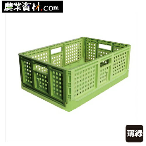 折りたたみコンテナ（薄緑）コンテナ 収納 片付け カラフル...:nogyoshizai:10000012