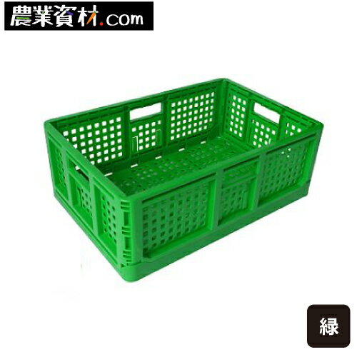 折りたたみコンテナ（緑）コンテナ 収納 片付け カラフル...:nogyoshizai:10000006