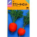 にんじん 種 【ラブリーキャロット】 小袋 ( 種 野菜 野菜種子 野菜種 )