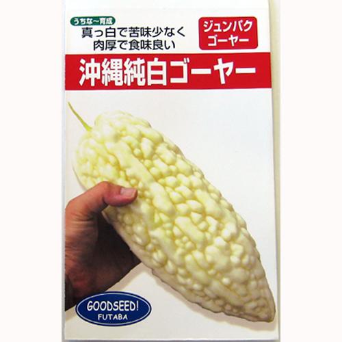 沖縄純白ゴーヤ (ゴーヤの種) 5ml苦みが少ない白ゴーヤ☆カーテンにも◎