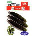 ゴーヤ 種 【島娘】 100粒 ( 種 野菜 野菜種子 野菜種 )