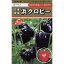 ピーマン 種 【浜クロピー】約1.3ml ( 種 野菜 野菜種子 野菜種 ) 550円