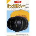 かぼちゃ 種 【ほっとけ栗たん】 14粒 ( 種 野菜 野菜種子 野菜種 )