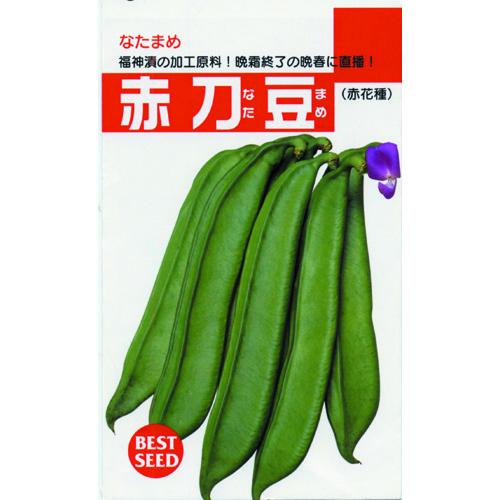 赤刀豆 (ナタマメの種) 10粒