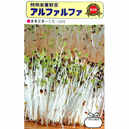 スプラウト 種 アルファルファー 50ml スプラウト もやし 農業屋 Com