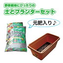 プランター 鉢 セット 【 野菜がおいしく育つ土とプランターのセット (50L型プランター:ブラウン) 】 家庭菜園 ガーデニングにおすすめ♪