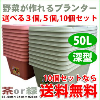 菜園プランター 鉢 深型 【 野菜が作れる 深底プランター 710型 10個セット 】 家…...:nogyoya:10054218