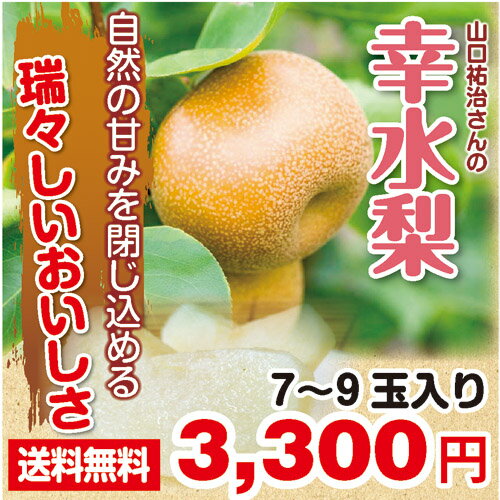 【産直ギフト】山口祐治さんの”幸水梨”　3kg（7〜9玉入り）【梨】【幸水梨】【送料無料】【産地直送】【ギフト】直売所でリピーターのお客様に愛される梨！！