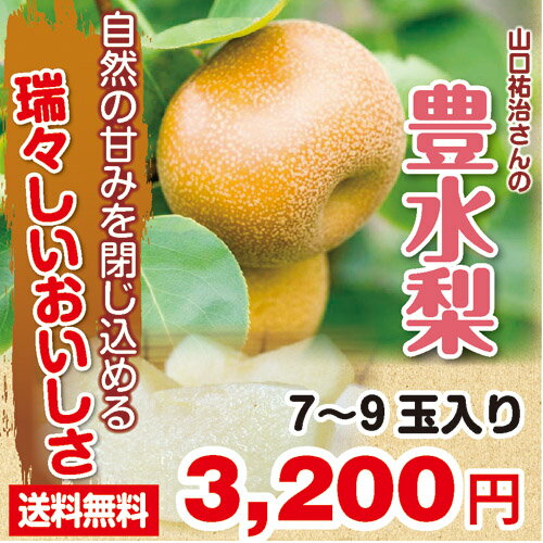 【産直ギフト】山口祐治さんの”豊水梨”　3kg（7〜9玉入り）