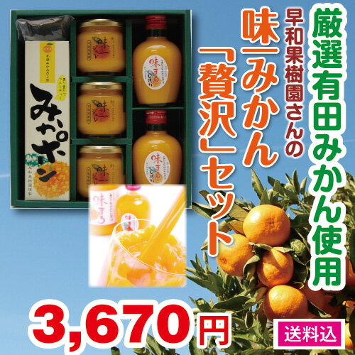 【産直ギフト】~厳選有田みかんを使った〜「早和果樹園」さんの【味一みかん贅沢セット】