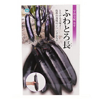 ふわとろ長(種)