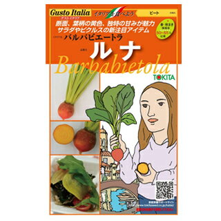 ビート 種 バルバビエートラ ルナ 80粒 種 野菜 野菜種子 野菜種 イタリア野菜 農業屋 Com