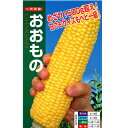 トウモロコシ 種 【おおもの】 20ml(約65粒） （ 種 野菜 野菜種子 野菜種 ）