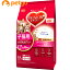 ビューティープロ キャット 2ヵ月から12ヵ月までの子猫用 1.5kg【あす楽】