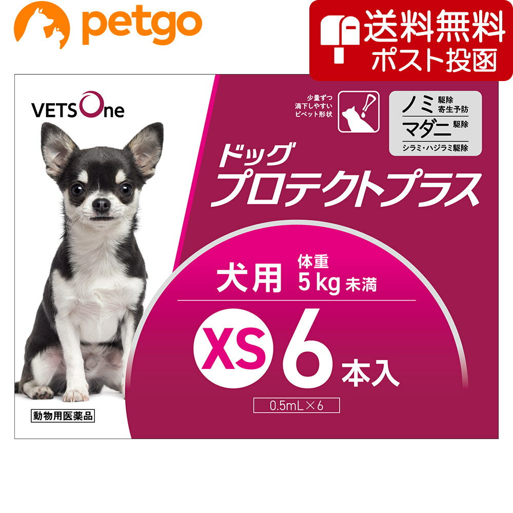 【ネコポス(同梱不可)】ベッツワン ドッグプロテクトプラス 犬用 XS 5kg未満 6本 (動物用医薬品)【あす楽】